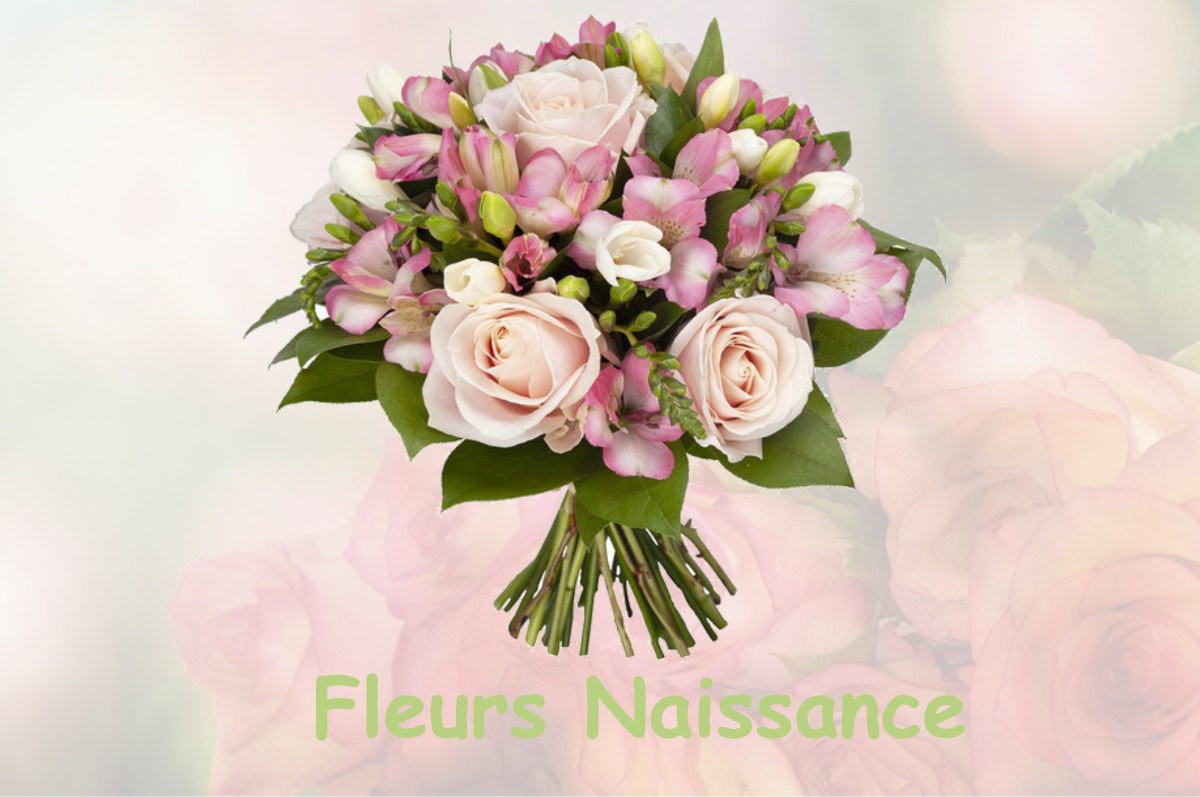 fleurs naissance HINX