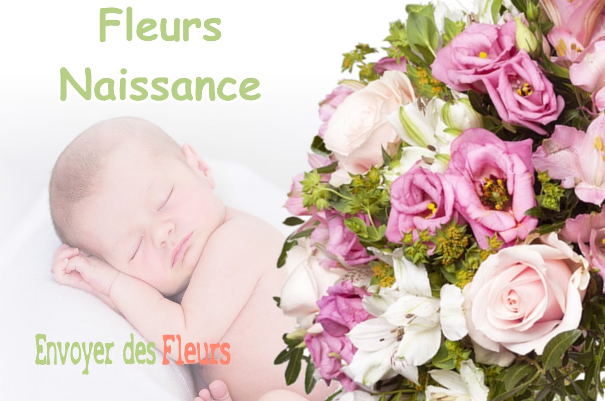 lIVRAISON FLEURS NAISSANCE à HINX